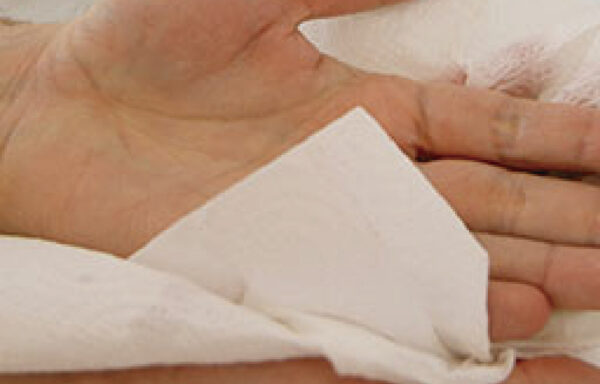 TOALLAS DE PAPEL